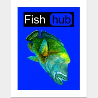 Fish hub napoleon wrasse Posters and Art